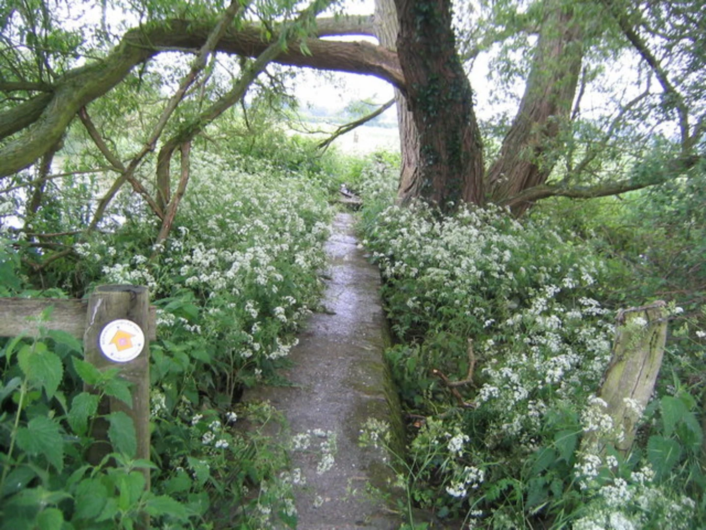 An image depicting the trail Gawcott and Hillesden Loop and its surrounding area.