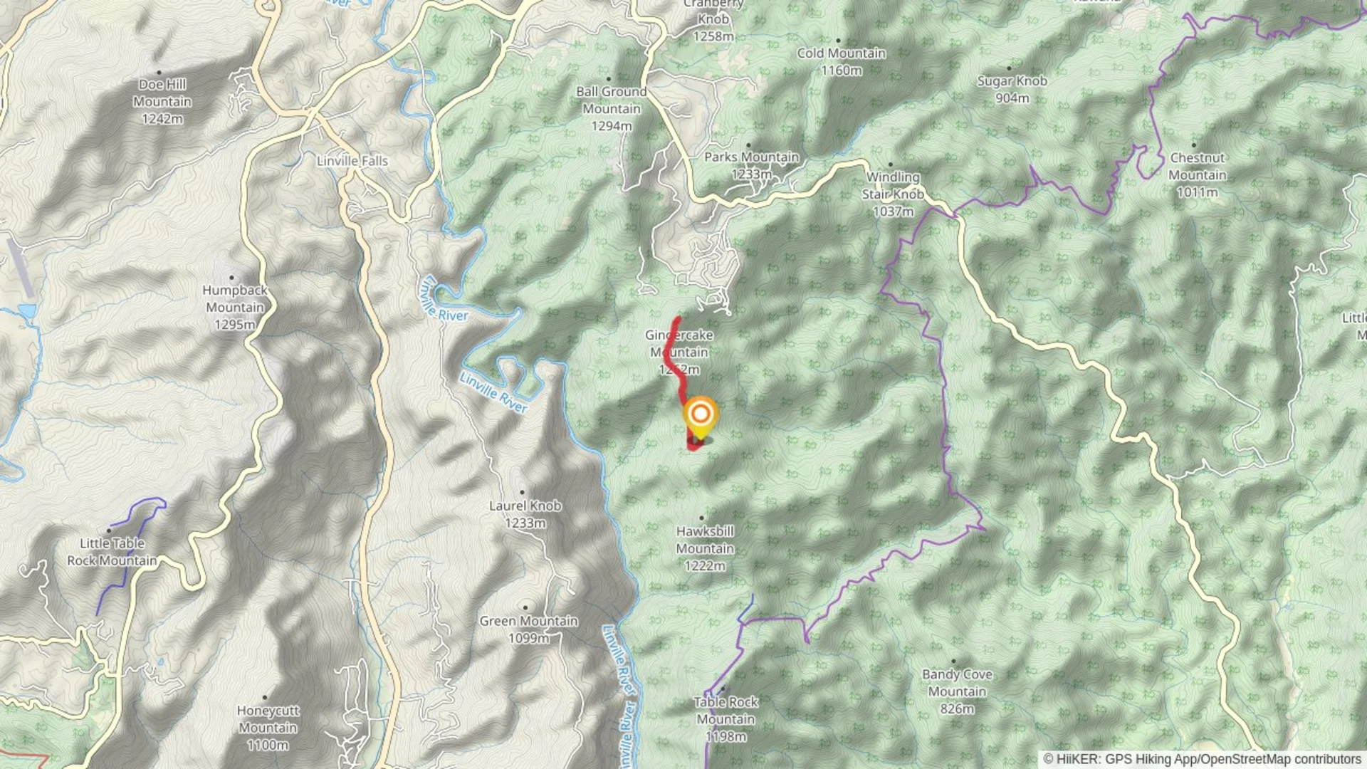 An image depicting the trail Gingercake Mountain via Jonas Ridge Trail and its surrounding area.