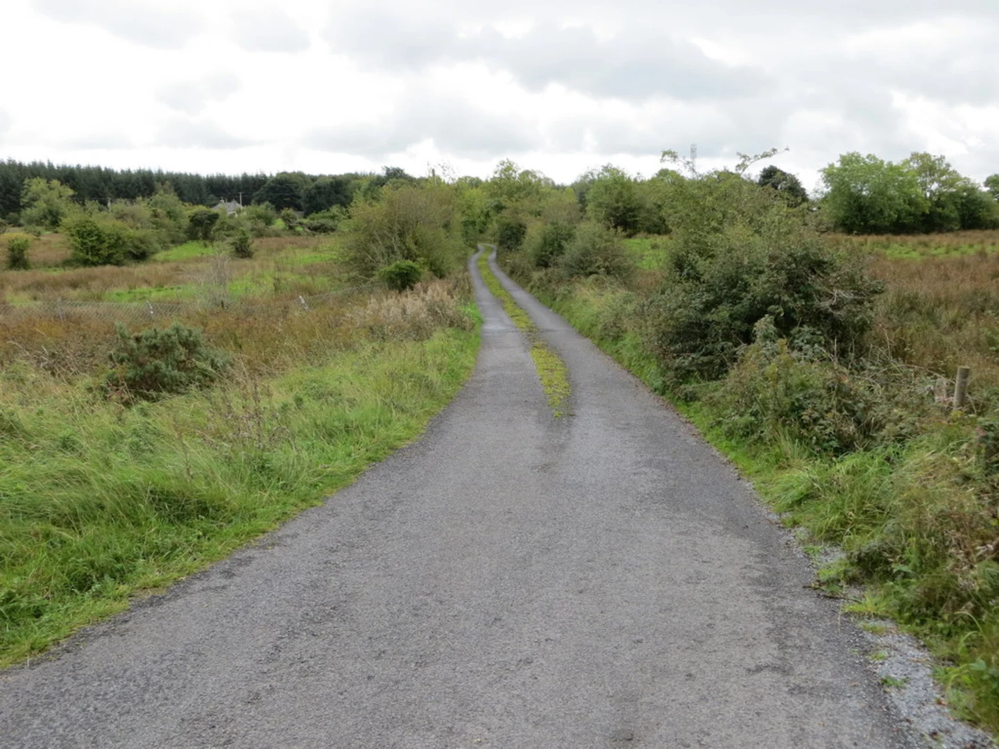 An image depicting the trail Cloonfad Bog Walk and its surrounding area.
