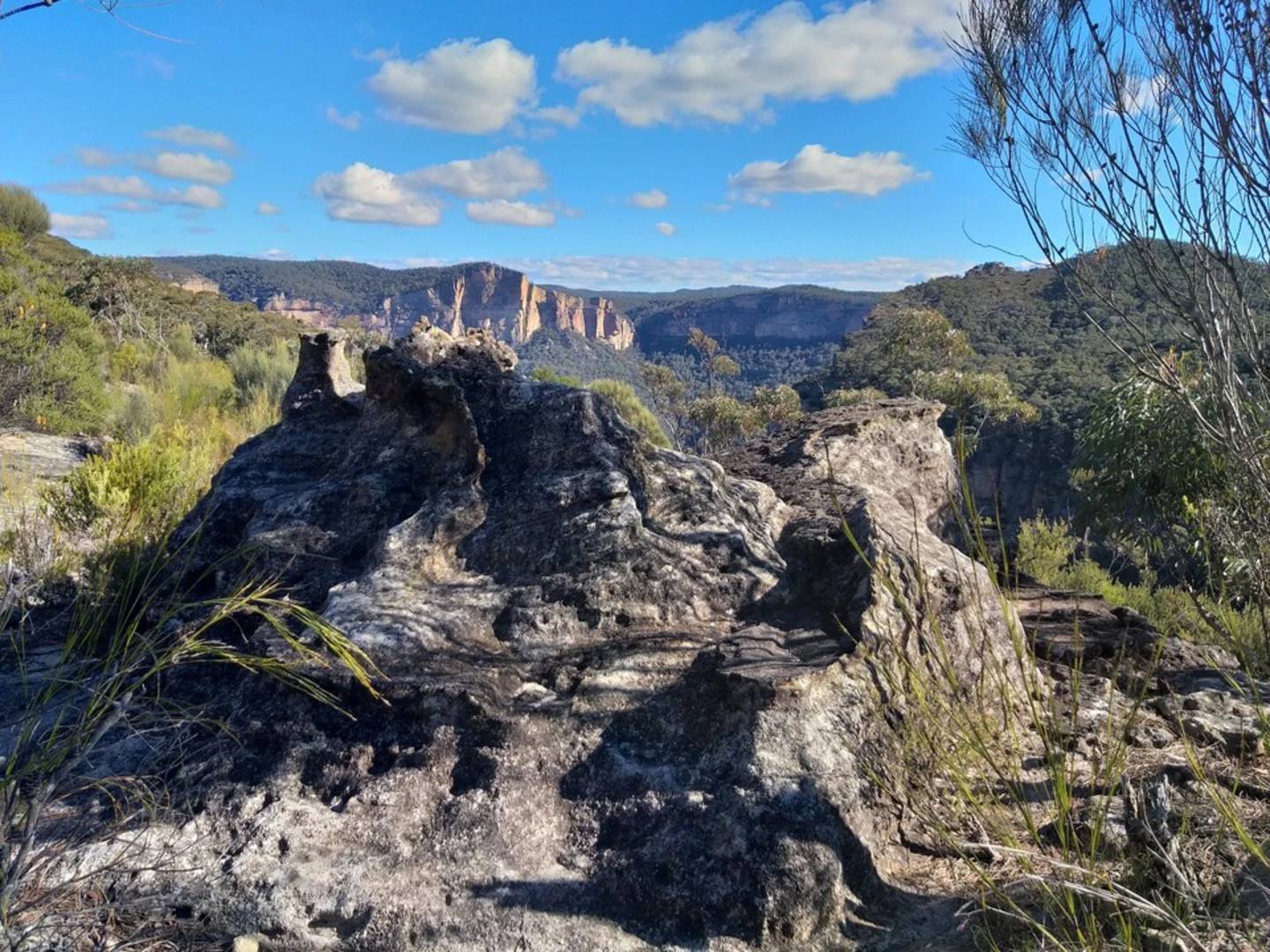 An image depicting the trail Rigby Hill Track and its surrounding area.