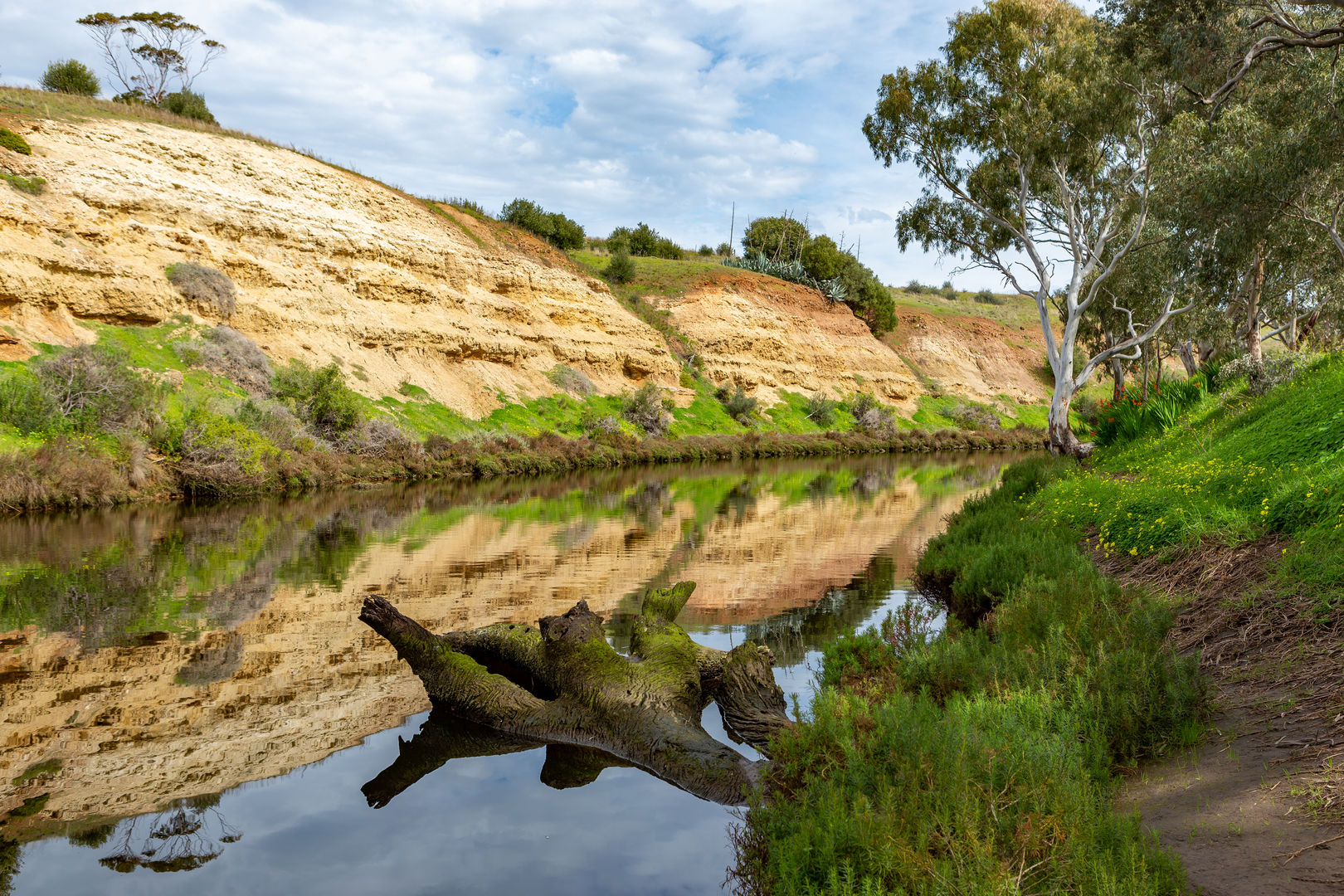 An image depicting the trail Onkaparinga Gorge Trek and its surrounding area.