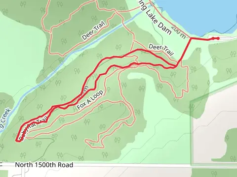 Baby Rat Loop Trail - Spring Lake