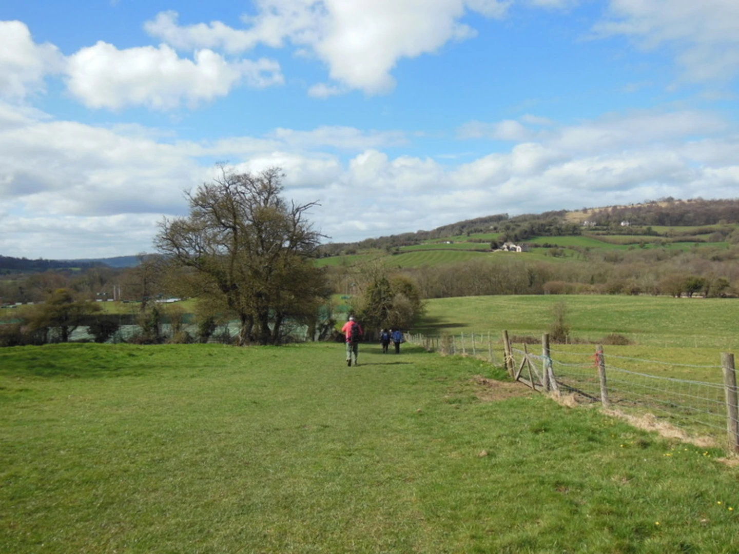 An image depicting the trail Circular Walk up to Frith Wood and its surrounding area.