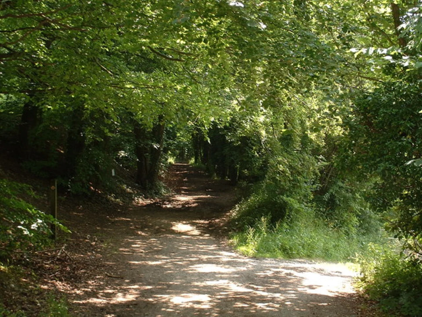 An image depicting the trail Challock, Charing and Wye Loop and its surrounding area.