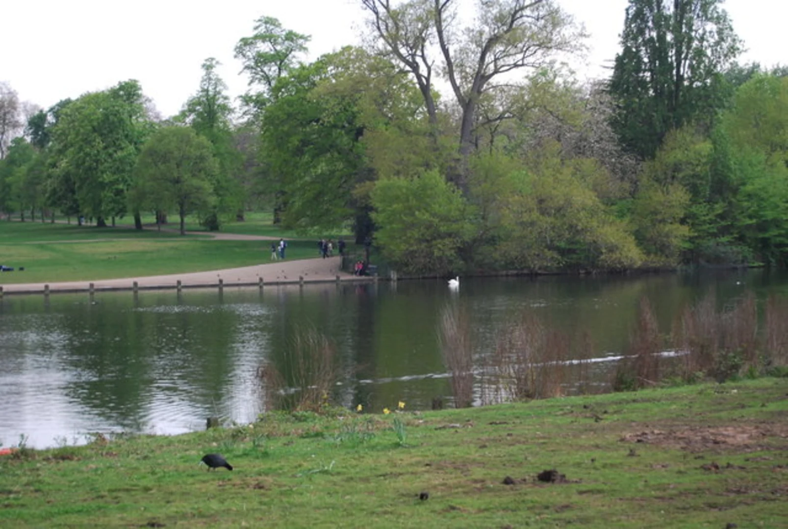 An image depicting the trail The Regent's Park to Hyde Park Walk and its surrounding area.