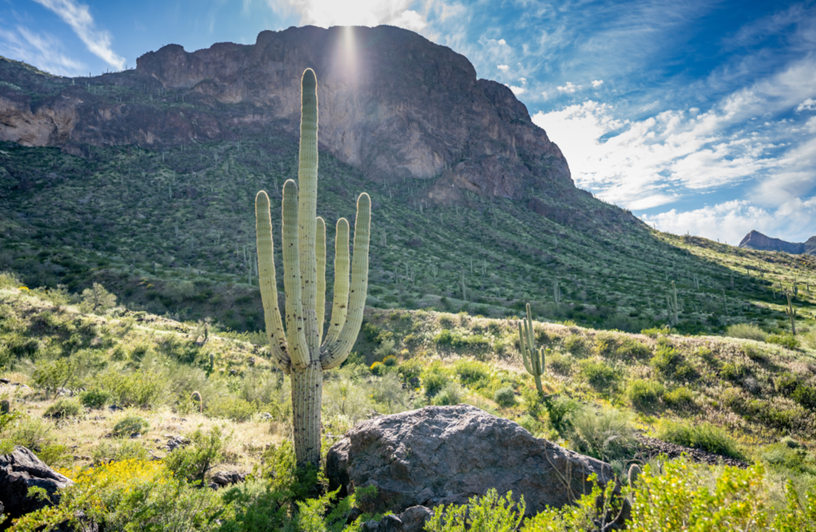 An image depicting the trail Picacho Peak and its surrounding area.