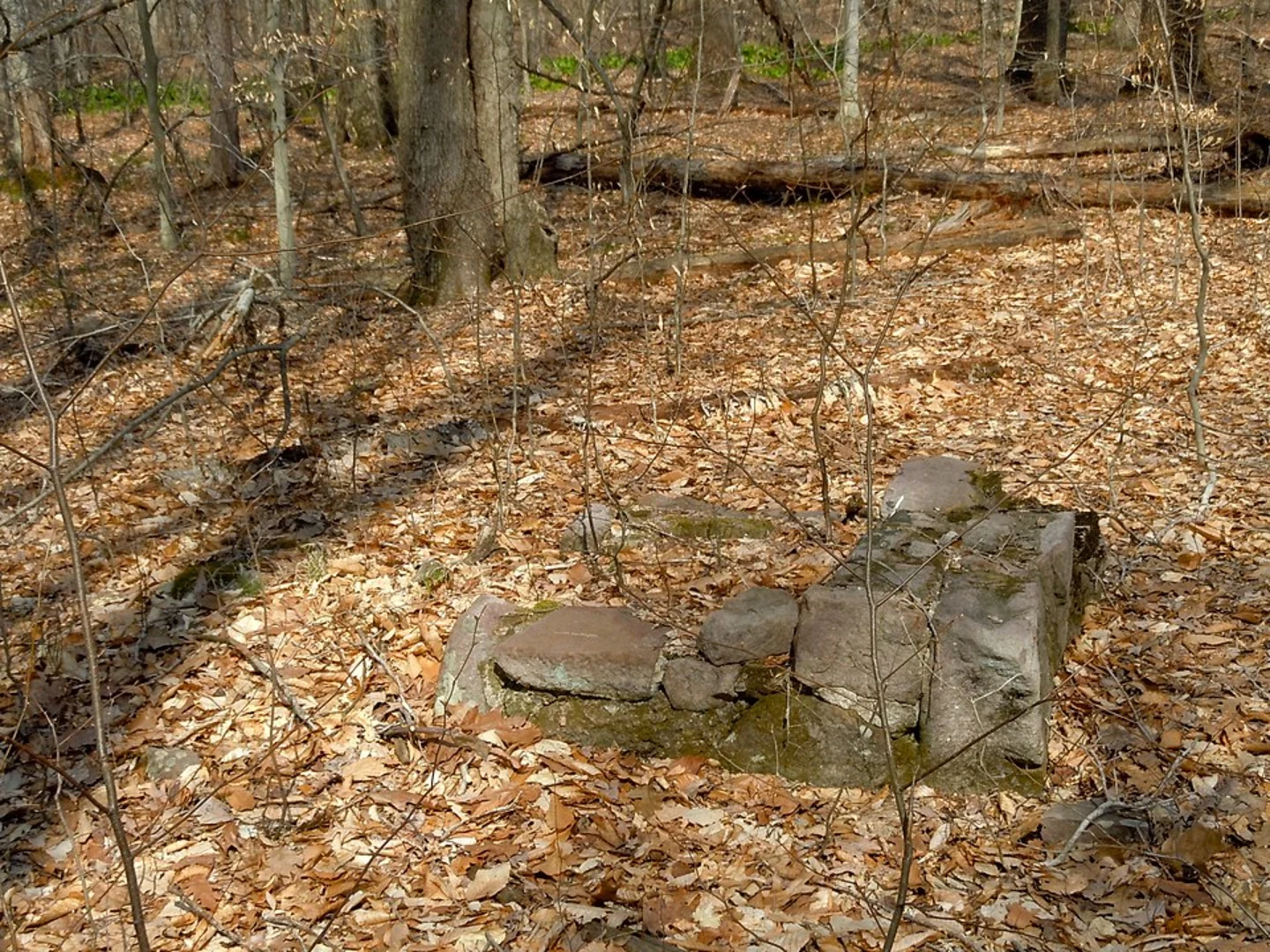 An image depicting the trail Chestnut Hill via Mill Creek Trail and Racoon Trail and its surrounding area.