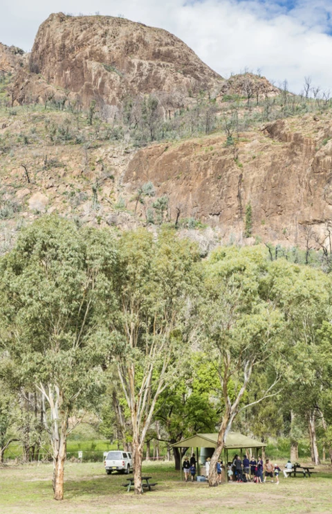 Wambelong Nature Walking Track
