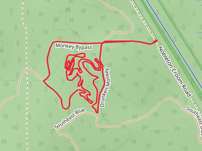 Monkey Bypass and Drunken Monkey Loop