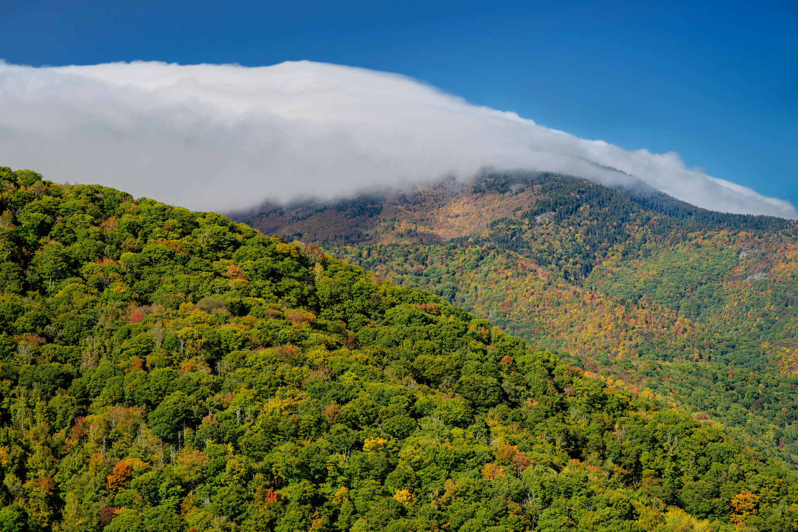 An image depicting the trail Ramseys Draft Trail and its surrounding area.
