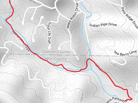 Disharoon Creek from Wilderness Parkway