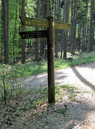 Weiße, Mauer Altkönig and Fuchstanz Loop