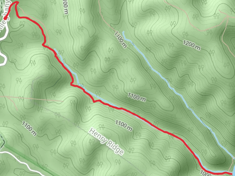 Bear Wallow Trail