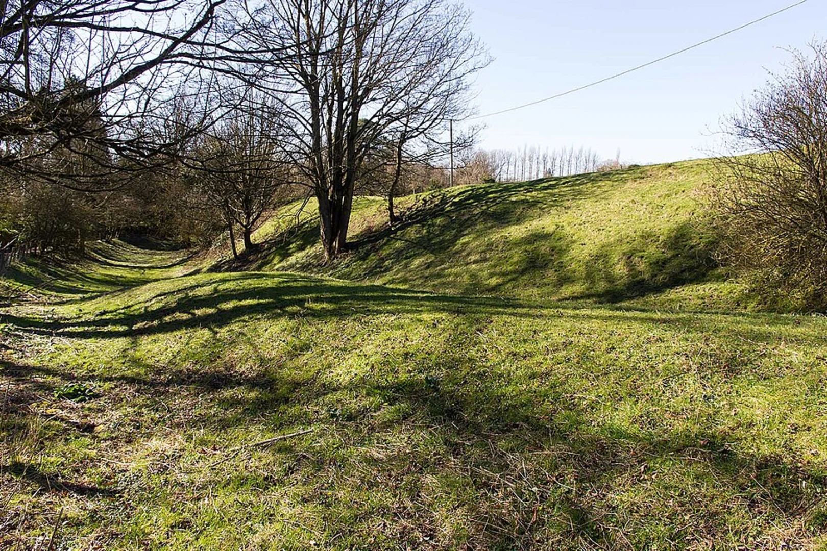 An image depicting the trail Pool Meadow Loop and its surrounding area.