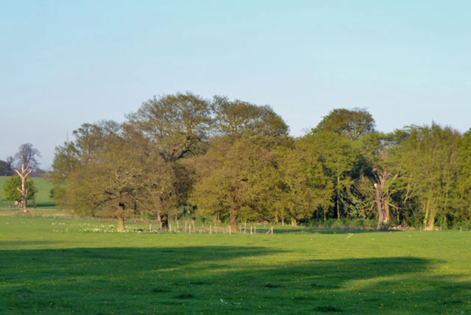An image depicting the trail Cobham Park Loop and its surrounding area.