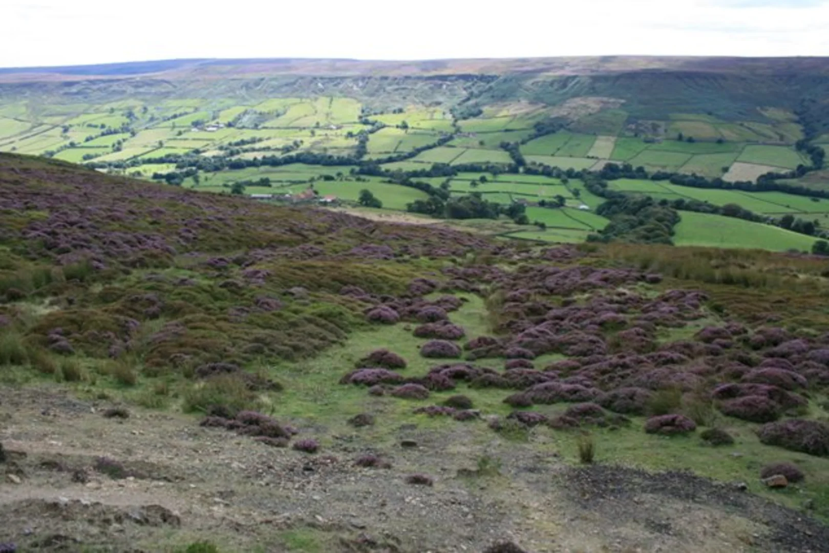 An image depicting the trail Blakey Ridge to Danby Bottom Loop via Danby Estate and its surrounding area.