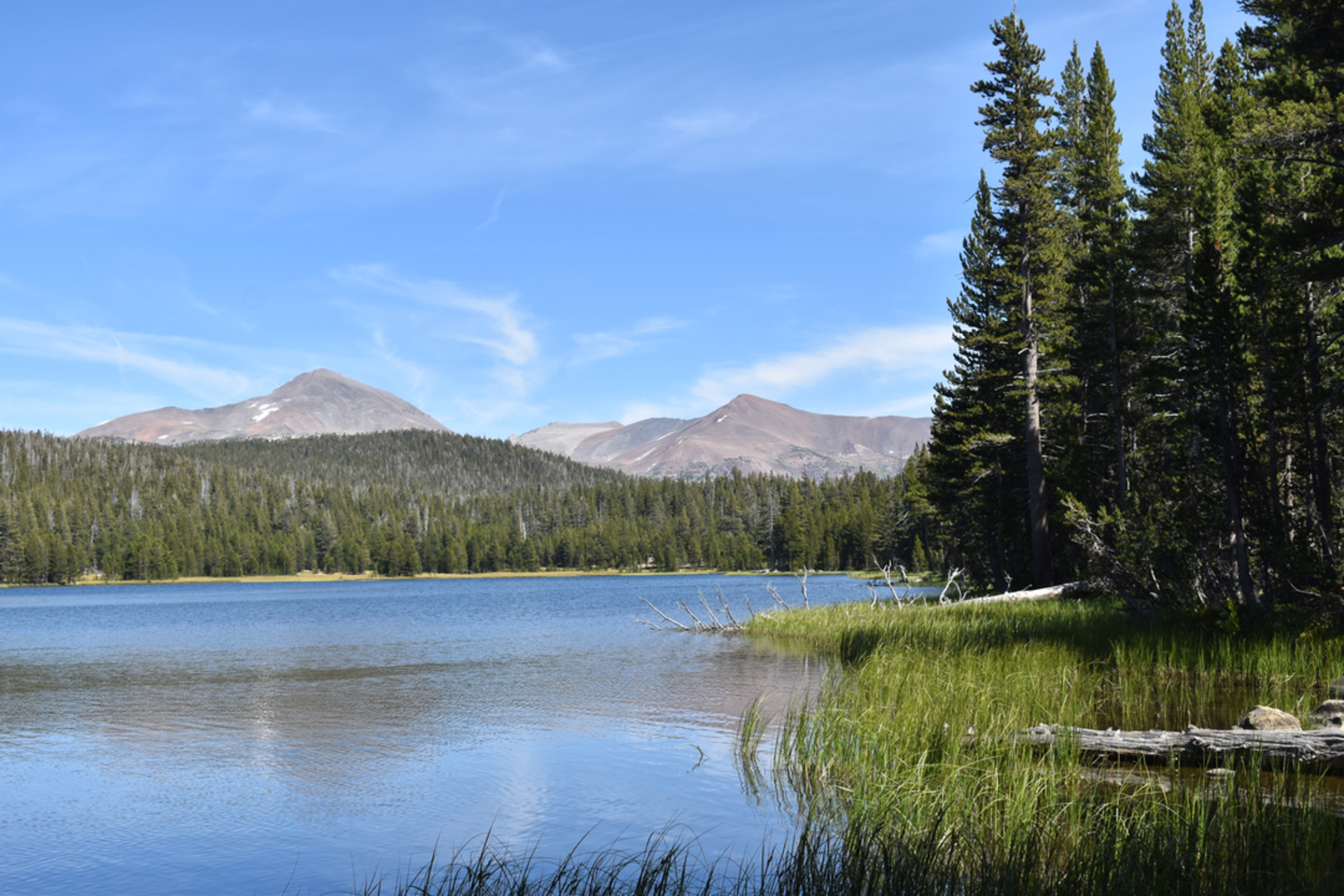 An image depicting the trail Dog Lake Trail and its surrounding area.