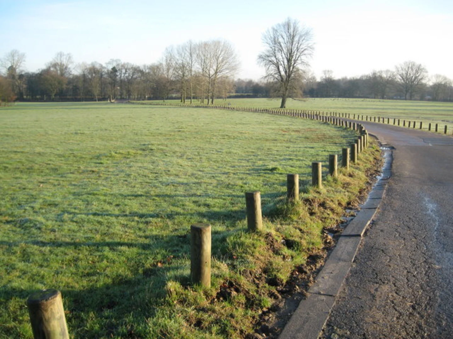 An image depicting the trail Aldenham Country Park Loop and its surrounding area.