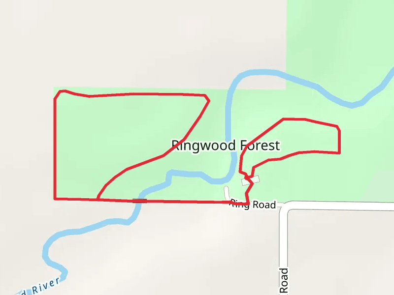South Fork Bad River - Ringwood Forest Loop