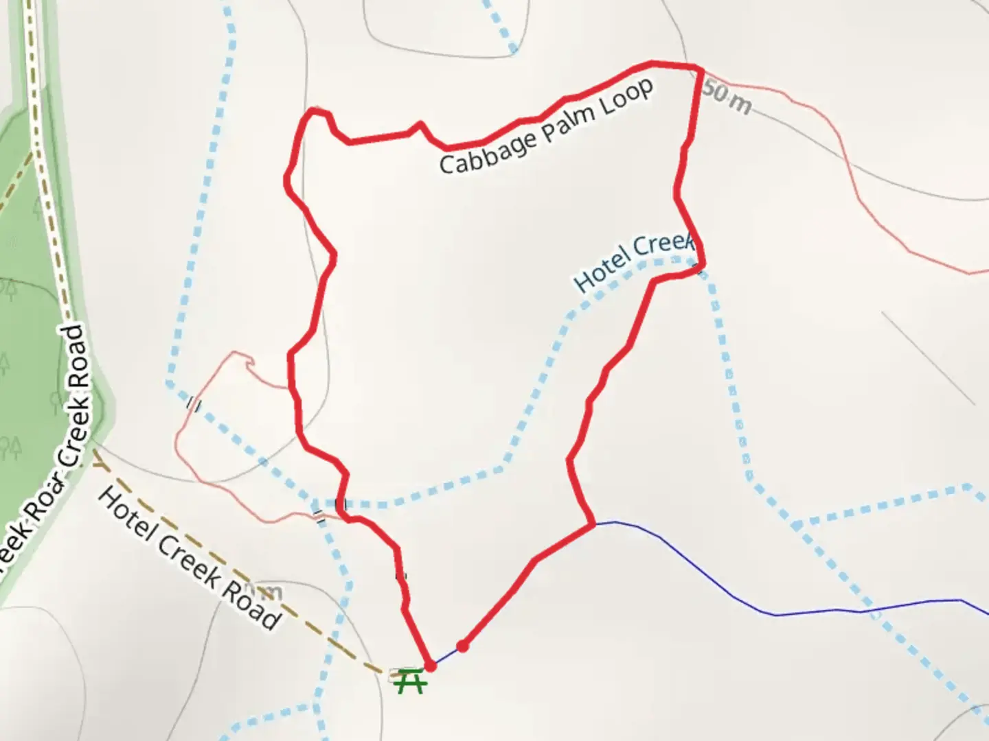 An image depicting the trail Cabbage Palm Loop Track and its surrounding area.