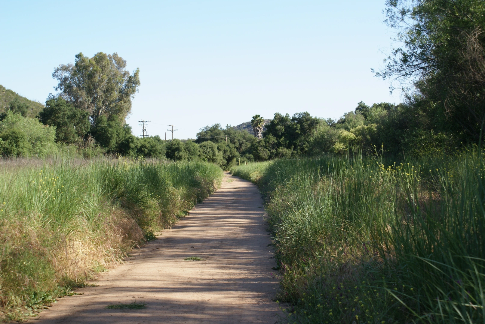 An image depicting the trail Sage Trail, Hidden Spring Trail and Cougar Ridge Trail Loop and its surrounding area.