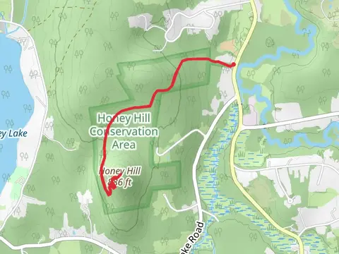Honey Hill Blue - yellow Trail