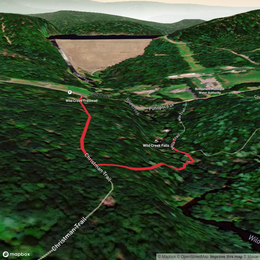 An image depicting the trail Wild Creek Falls and its surrounding area.