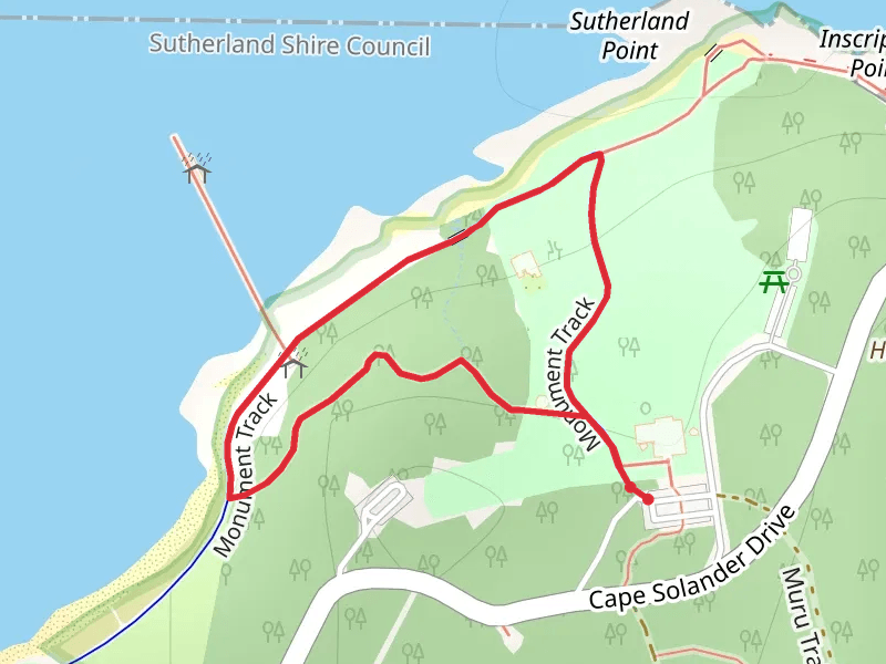 Burrawang Walk