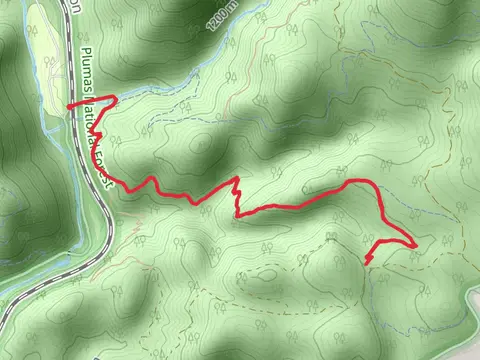 Berry Creek Trail