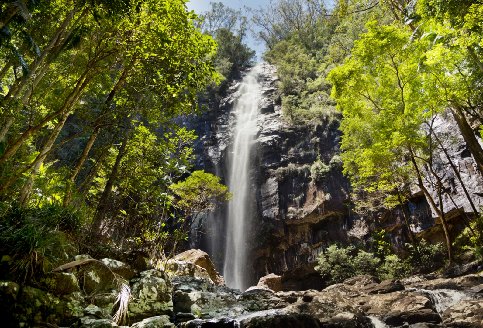 An image depicting the trail Protesters Falls Track and its surrounding area.