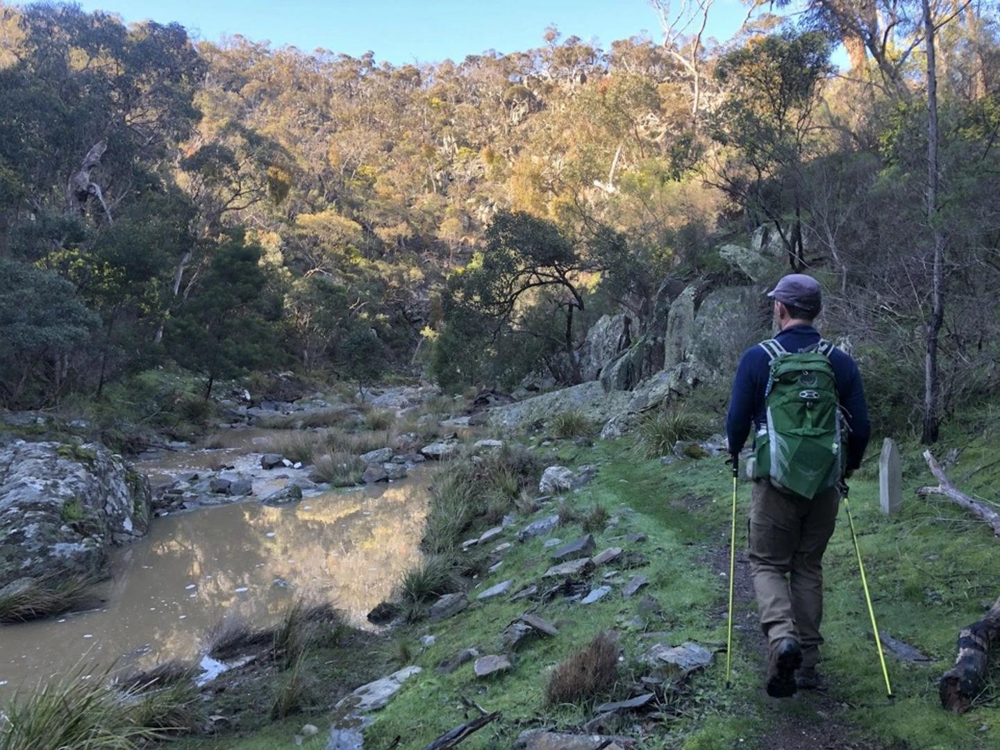An image depicting the trail Little River Gorge Trail and its surrounding area.