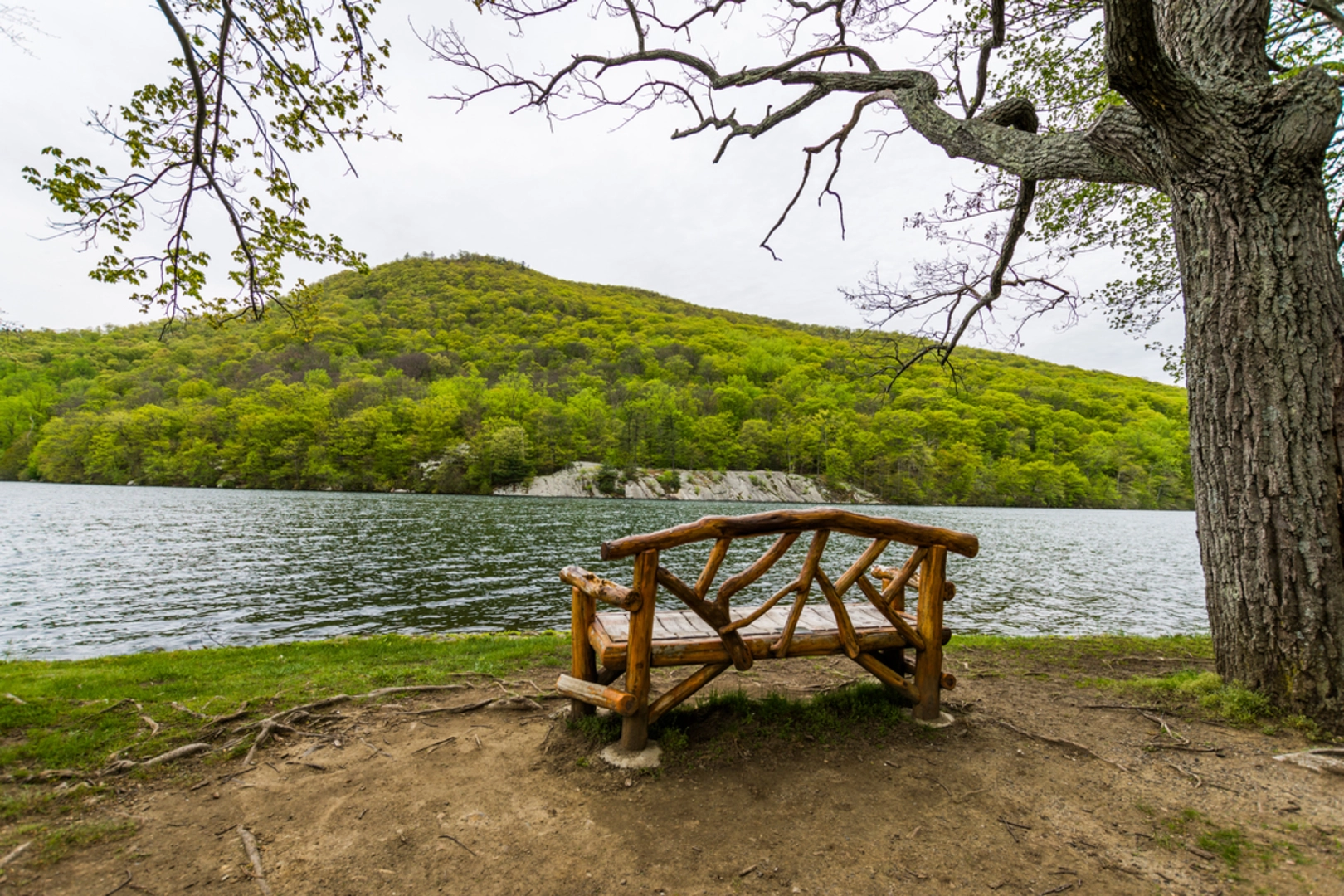 An image depicting the trail Bear Mountain via Major Welch Trail and its surrounding area.