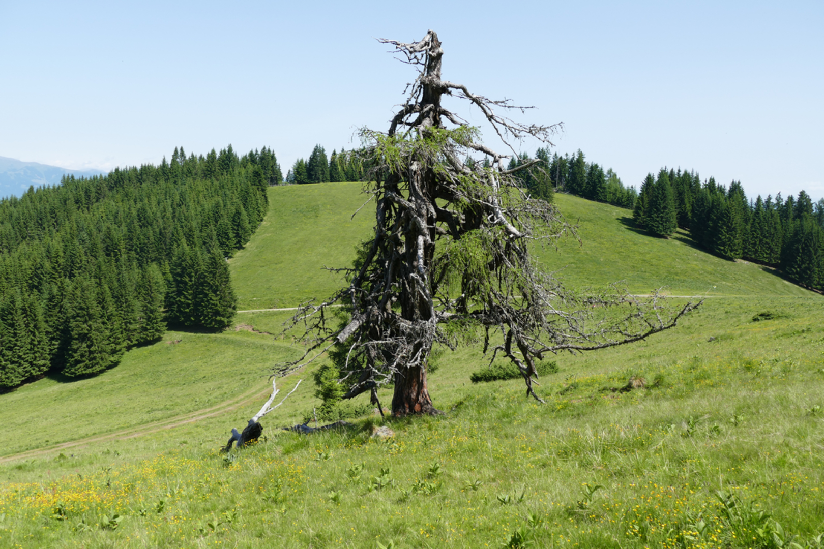 An image depicting the trail Grosslobming to Kleinlobming and its surrounding area.