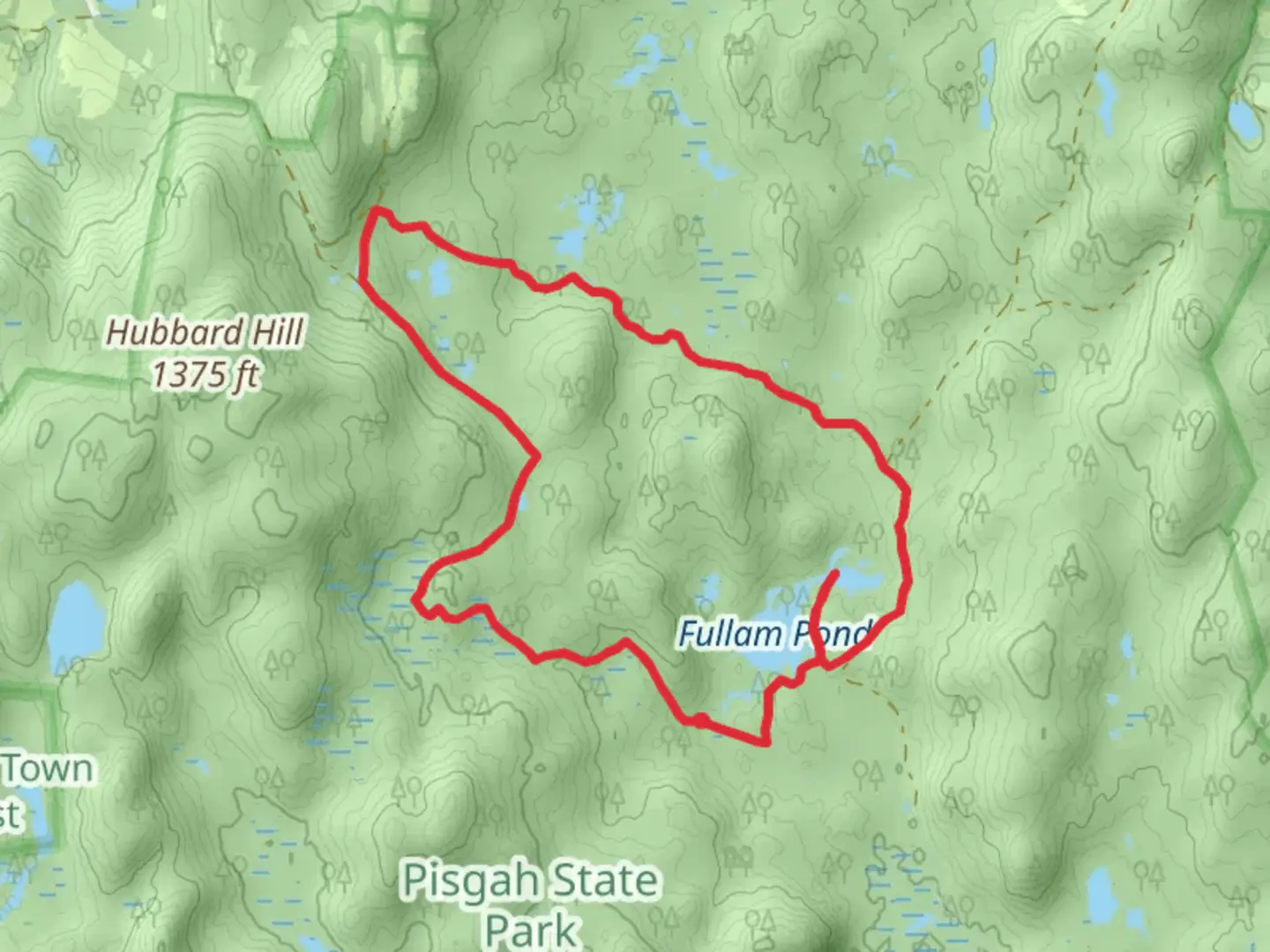An image depicting the trail Fullam Pond Loop and its surrounding area.