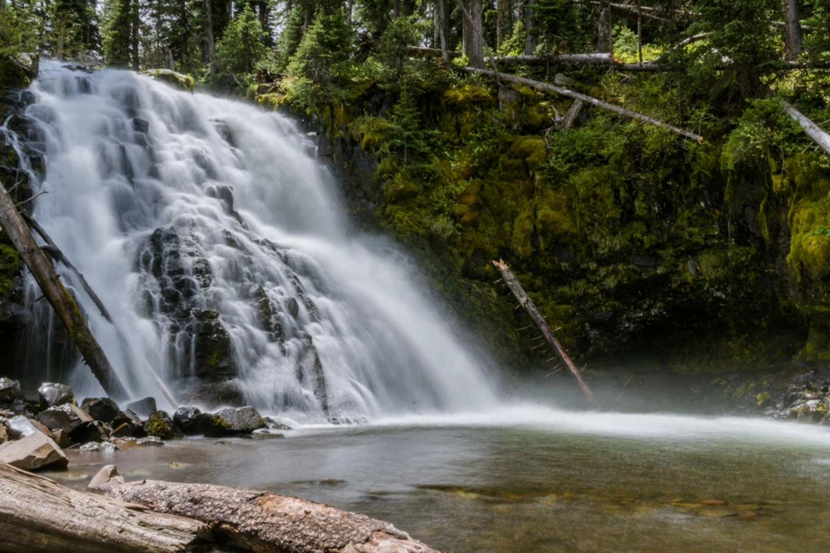 An image depicting the trail Grotto Falls Trail and its surrounding area.