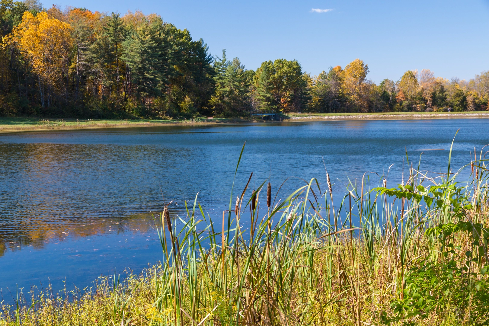 An image depicting the trail North South Trail and its surrounding area.