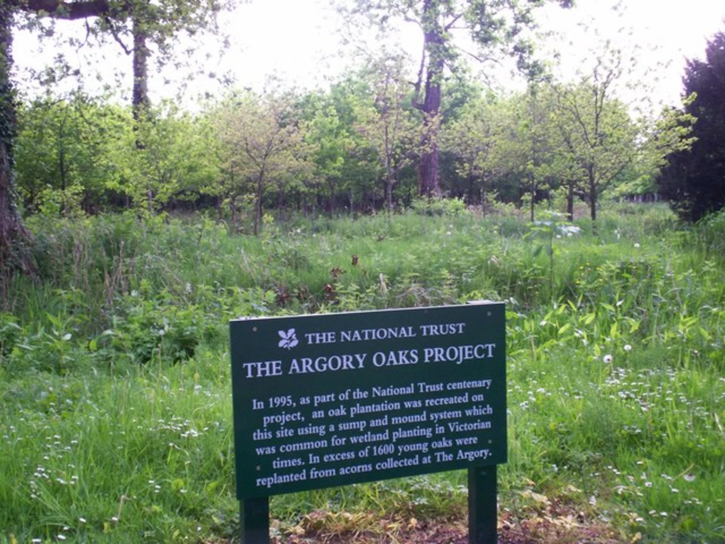 An image depicting the trail Blackwater River Walk and its surrounding area.