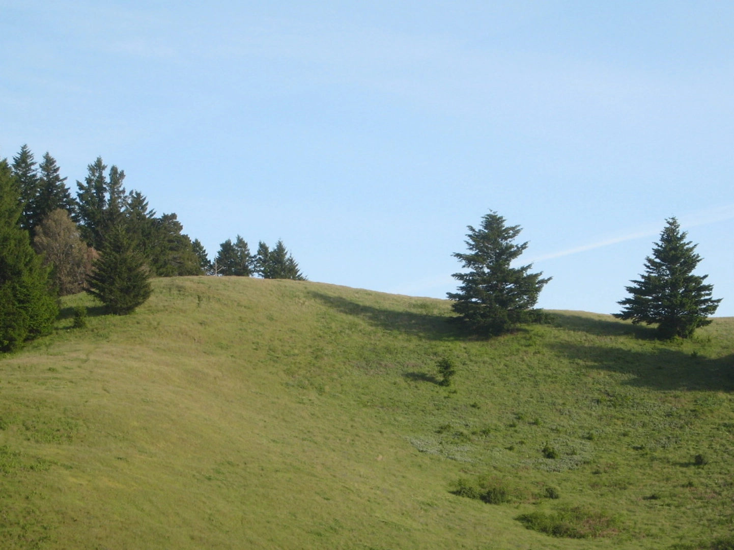 An image depicting the trail Wooded Knoll and Bare Knoll and its surrounding area.