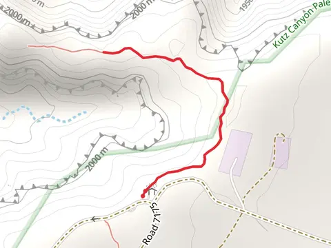 Road 7175 Walk