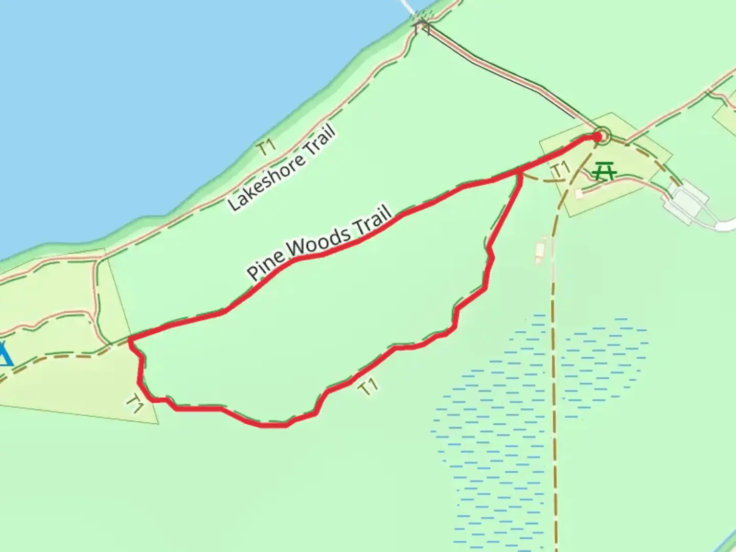 An image depicting the trail Sand Ridge Nature Loop Trail and its surrounding area.