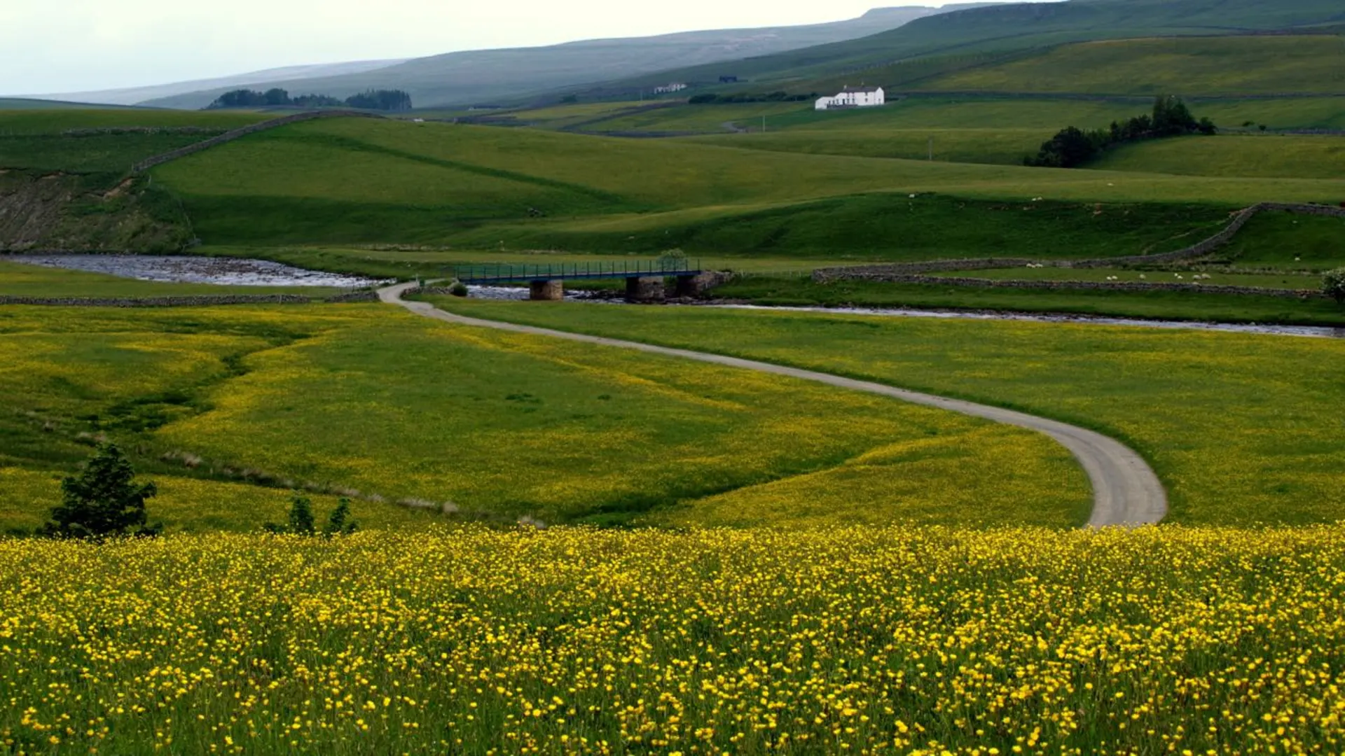 An image depicting the trail Teesdale Way and its surrounding area.