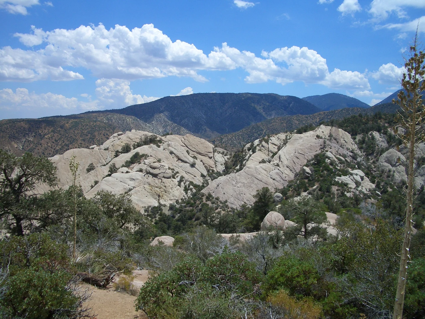 An image depicting the trail Vetter Mountain Loop and its surrounding area.