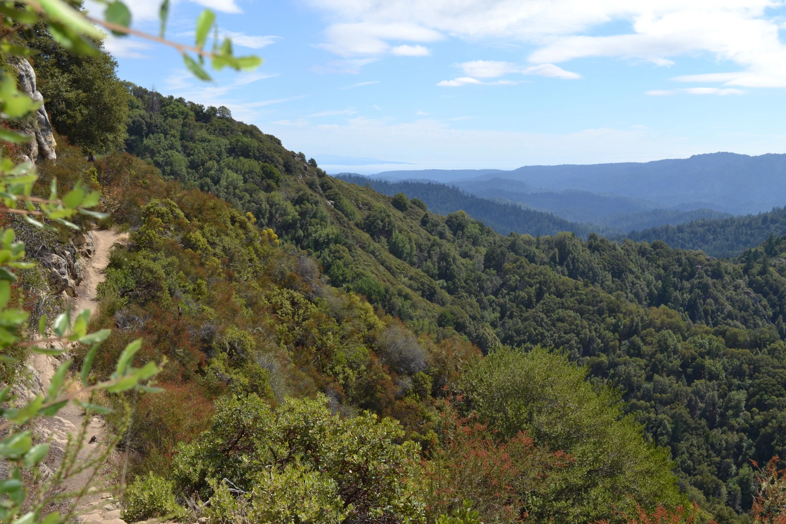 An image depicting the trail San Andreas, Saratoga Gap and Indian Rock Loop Trail and its surrounding area.