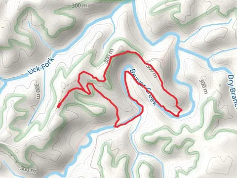 Beaver Creek Loop - Trail 532