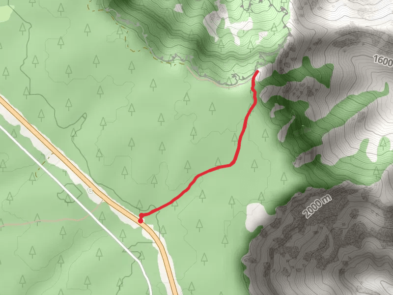East Rim Drive