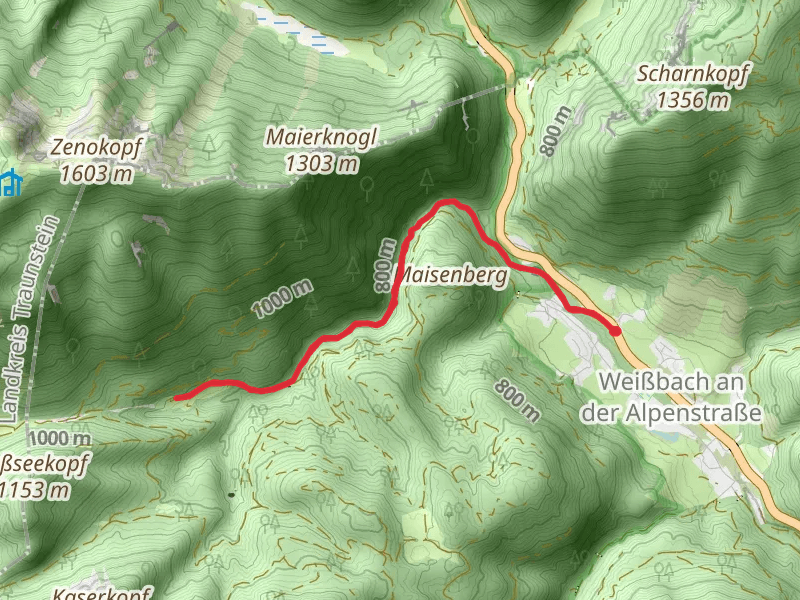 Bichler Alm Walk via Reiterweg