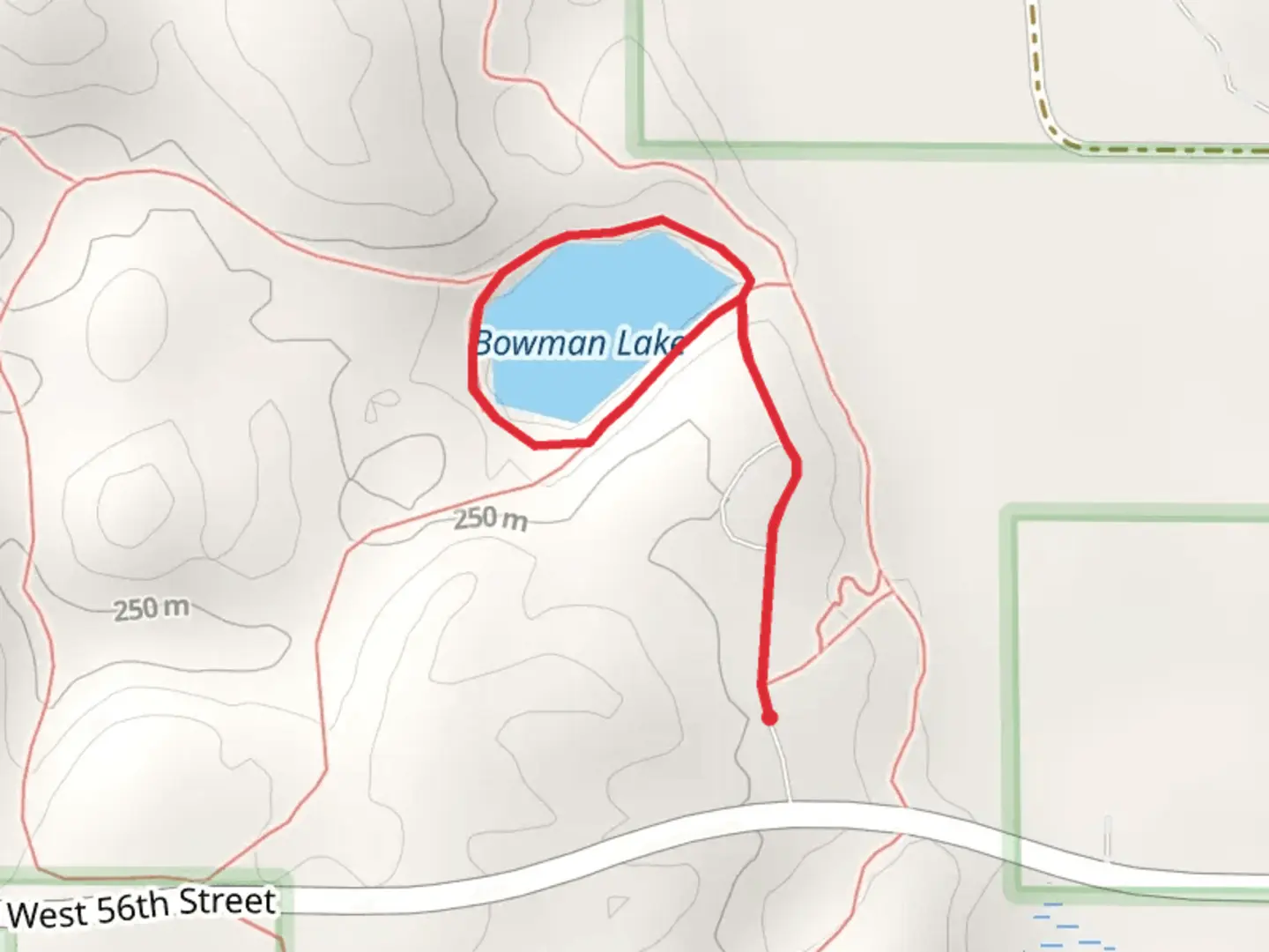 An image depicting the trail Bowman Lake Loop and its surrounding area.