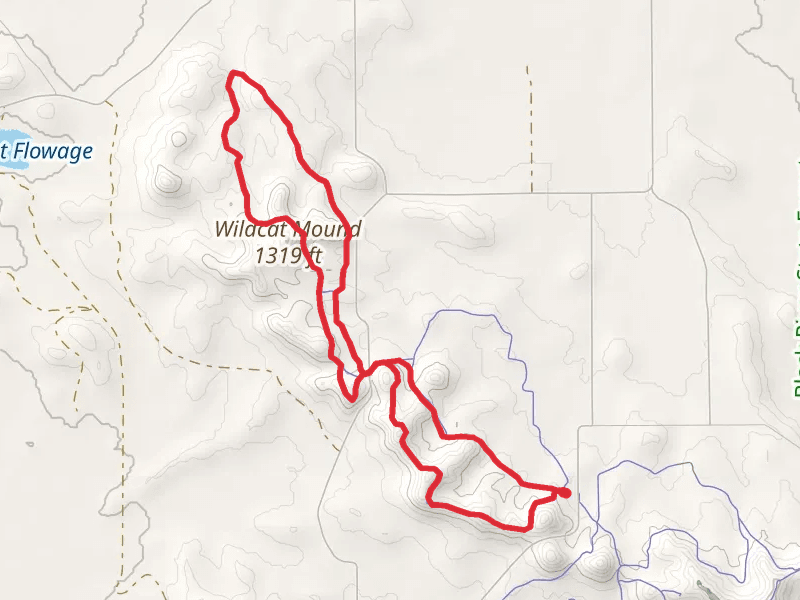 Norway pine, Wild Cat and Red Oak Loop