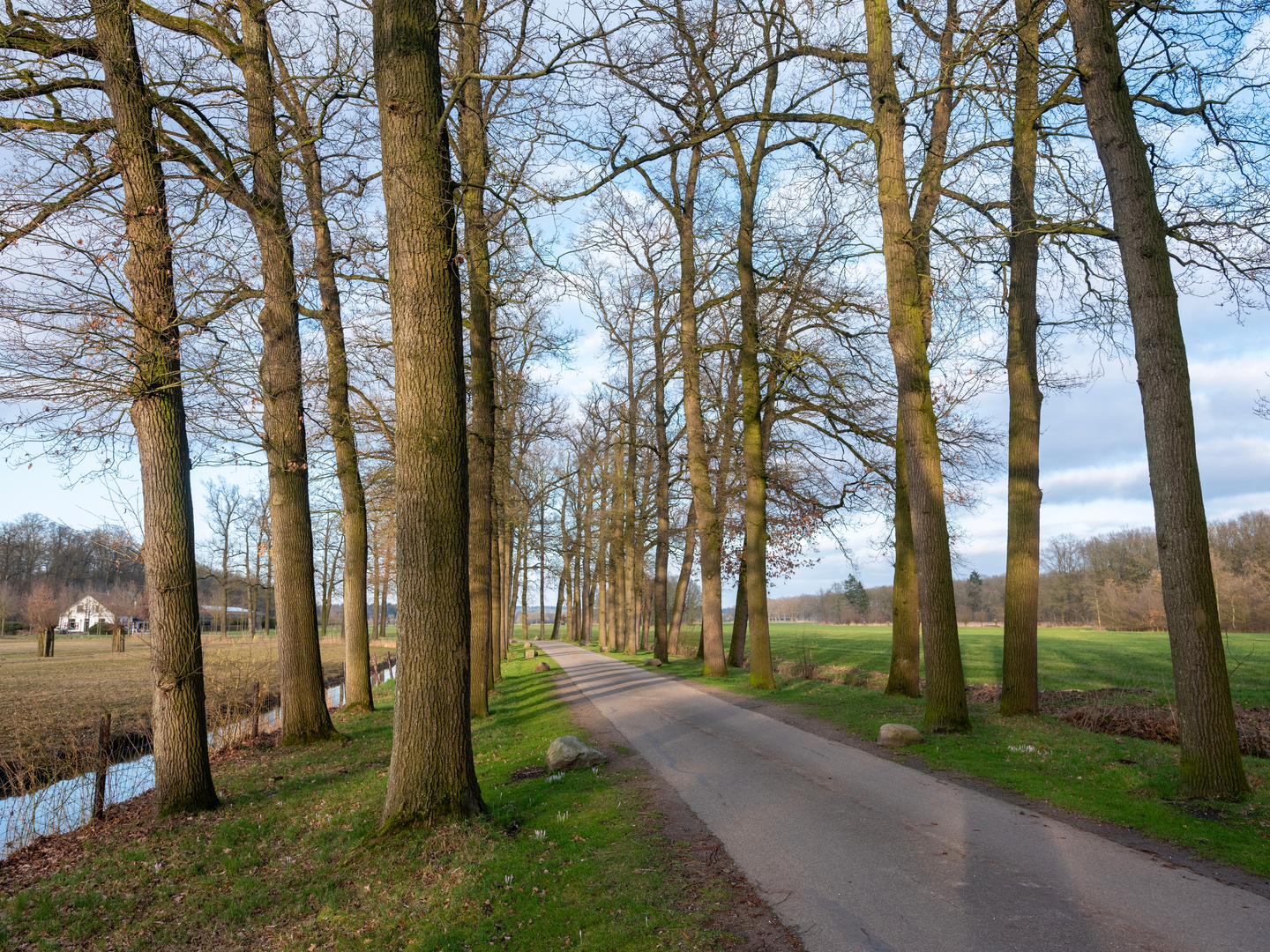 An image depicting the trail Doornse Gat and Landgoed Ruiterberg Loop and its surrounding area.
