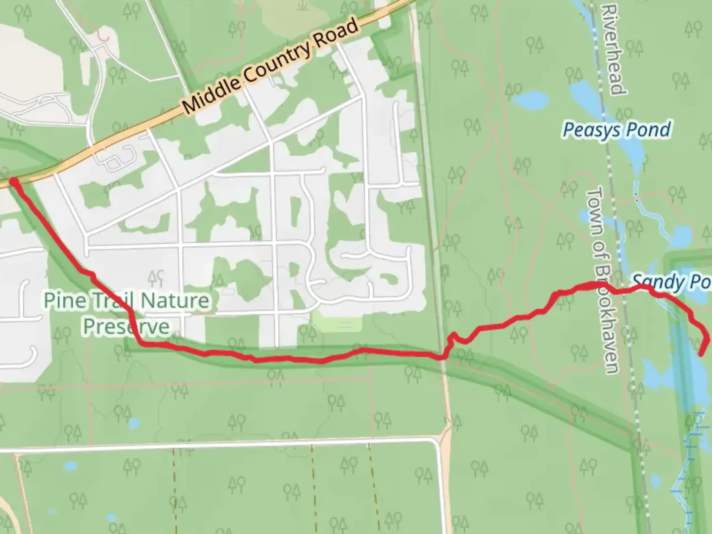 An image depicting the trail Grassy Pond Trail via Paumanok Path and its surrounding area.